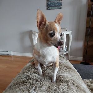 Meet your Posher, Judith